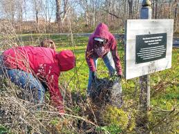Scouts Troop 7335 brings Green butterfly garden back to life