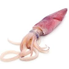 They are fuller flavored than calamari but. High Quality Big Size Cuttlefish From Vietnam For Export Buy Big Size Cuttlefish High Quality Cuttlefish Frozen Cuttlefish Dried Cuttlefish Product On Alibaba Com