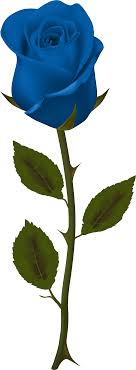 More images for blue rose background png » Blue Rose No Background Clipart Full Size Clipart 439232 Pinclipart