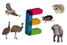 Animales Que Empiezan Por E En Espanol Y En Ingles