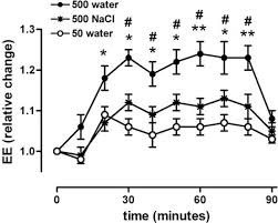 How Much Water Should You Drink Per Day