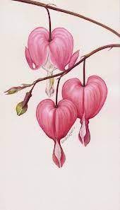Epingle Par Samantha Allinson Sur Tattoo Dessins Botaniques Peinture Fleurs Dessin Botanique