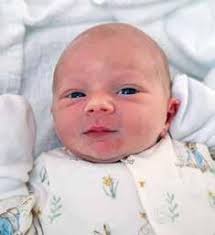 Mornington News 26th November 2024 by Mornington Peninsula News Group