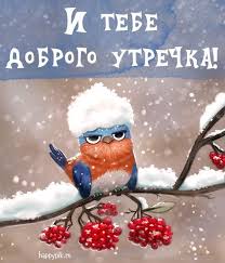 открытки с пожеланиями с добрым зимним утром скачать бесплатно Kartinki S Dobrym Zimnim Utrom S Pozhelaniyami 70 Kartinok V 2020 G Dobroe Utro Milye Otkrytki Starye Pozdravitelnye Otkrytki