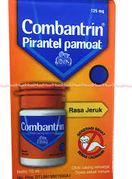 Cacing adalah salah satu ancaman kepada kesihatan ayam anda, kehadiran cacing di dalam tubuh ayam piperazine juga boleh didapati dari pihak kami. 100 Gambar Obat Cacing Anak Gambar Pixabay