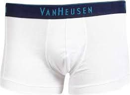 Van Heusen Men Trunks