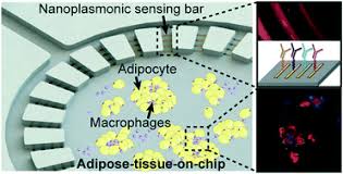Together these components function as an integrated unit. An Integrated Adipose Tissue On Chip Nanoplasmonic Biosensing Platform For Investigating Obesity Associated Inflammation Lab On A Chip Rsc Publishing