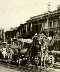 Wiki tab lets you browse the existing route files and documentation. Camel Driven Buses Were Used In Old Delhi India In 1900 1940 Album On Imgur