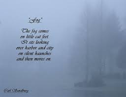 Fog Words Quotes Wonderful Words Words