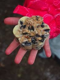 Rezept Fur Selbst Gemachtes Vogelfutter Kreative Ideen Fur Kinder Kinderbasteleien Weihnachtsbastelideen
