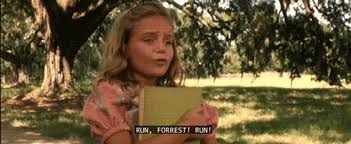 With tenor, maker of gif keyboard, add popular forrest gump animated gifs to your conversations. Forrest Gump Gifs Page 7 Wifflegif