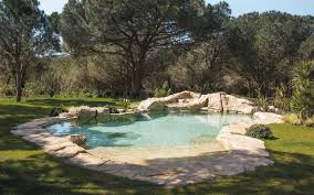Exemples De Nos Piscines Paysagees Bassins Et Spas Cascades Et Plages En Rochers Reconstitues Piscine Et Jardin Piscine Amenagement Paysager Piscines De Reve