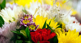 Wondering how to send someone flowers? Bouquets Arrangements Publix Super Markets