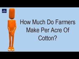 At a dollar per pound that would gross $3,000 per acre. How Much Do Farmers Make Per Acre Of Cotton Youtube