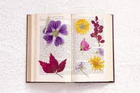 Marketing a product or service that has a correlation to death or the passing of a loved one can be difficult to navigate. 12 Ideas For What To Do With Flowers From A Funeral Lovetoknow