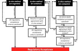 In particular, in silico methods are expected to speed up the drug discovery process, to provide a quicker and in silico methods for predicting ligand binding determinants of cytochromes p450. Regulatory Acceptance Of In Vivo In Vitro And In Silico Methods Download Scientific Diagram