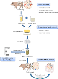Image result for Fecal Transfer