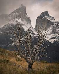 Beautiful And Moody Landscape Photography By Thomas Heaton Landscape Photography Beautiful Photos Of Nature Landscape