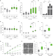 Microbe‐induced drought tolerance by ABA‐mediated root architecture and  epigenetic reprogramming