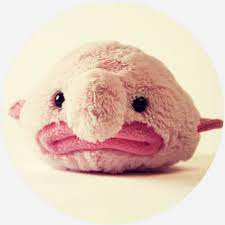 1 donation to the museum: Blobfish Dictionary Com