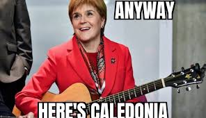 You can take any video, trim the best part, combine with other videos, add soundtrack. Nicola Sturgeon S Dankest Meme Hits Home Facebook