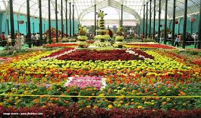 Although you may think growing your own winter flowers may not be your cup of tea, it's actually quite simple. Top 10 Must Visit Flower Shows In India