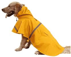 Best Waterproof Dog Raincoat Reviews Buyers Guide 2019