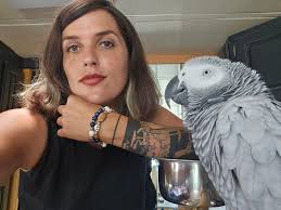 African Grey Parrots and their unique personalities