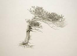 B Sides Yama Bato Ann Bottcher Courage And True Drawing Prints Artist Inspiration Kids Art Studio