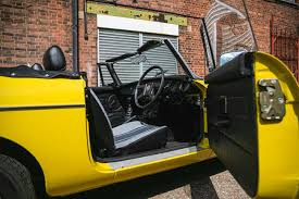 Image result for Snapdragon Yellow 1980 MG