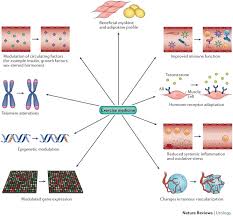 Cancer council nsw values its employees. Enhancing Active Surveillance Of Prostate Cancer The Potential Of Exercise Medicine Nature Reviews Urology