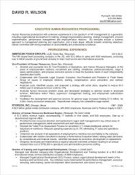Account Executive Sample Resume Account Manager Sample Resume Account Executive Resu Resume Objective Examples Project Manager Resume Cover Letter For Resume
