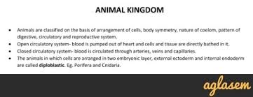 Important Notes Of Biology For Neet Animal Kingdom