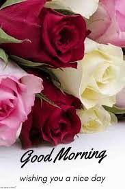 Best Good Morning Hd Images Wishes Pictures And Greetings Good Morning Flowers Good Morning Flowers Pictures Good Morning Beautiful Flowers