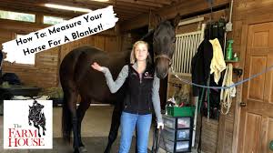 If your horse is clipped, or you live in a colder climate, you may want to look at blankets with hoods. How To Measure Your Horse For A Blanket The Farm House