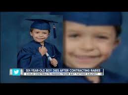 Florida boy, 6, dies of rabies after contact with bat