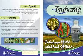 Tampilan website yang minimalis dan informatif. Facebook