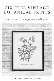 Printable Free Black And White Botanical Prints Sweeterlittlehome Com Nbspsweeterlittlehome Resources And Information Floral Wall Art Botanical Wall Art Diy Wall Art Quotes