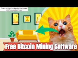 It supports both amd and nvidia gpus, and also cpu mining. 9 Best Bitcoin Miner Software Sept 2020