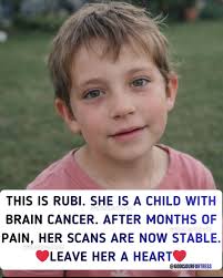 More join us 👉 Middle aged humor  GOD.. IM SORRY Dear God, I'm sorry for  all the times asked for Your forgiveness and reverted afterwards. ' sorry  for all the times Isaid