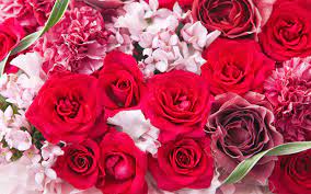Maybe you would like to learn more about one of these? 15 Paling Keren Gambar Bunga Love Cantik