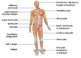 Pin On Men S Health Week