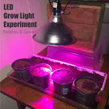 You can even sow before the earth warms up, by covering your seedbed with fleece or a cloche before sowing. Growing Radishes Spinach Indoors Led 12w Grow Light Video