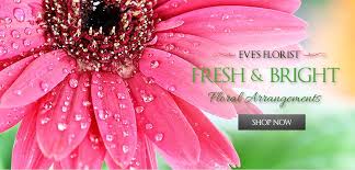 Palm harbor florists, palm harbor flower shop, palm harbor flower delivery, online florists, send flowers in palm harbor, fl, palm harbor florist please write your opinions about this place and inform those who want to go here. Eve S Florist Oldsmar Fl Free Same Day Flower Delivery For Any Occasion