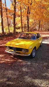 Image result for Giallo 1972 Alfa-Romeo