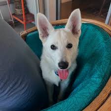 Meet Benny Bean — a thoughtful little frog with a heart full of calm and a  head full of daydreams. He believes that how you start your morning sets  the tone for