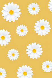 The flower images featured below are delightful and fun. Download Premium Psd Of White Daisy Pattern On Yellow Background 1202497 Daisy Wallpaper Flower Background Wallpaper Iphone Wallpaper Yellow