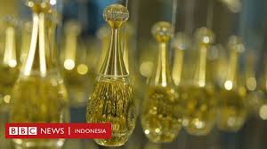 Komentar setidaknya terdapat 3 pembagian jenis gelombang, yaitu. Muntahan Paus Atau Ambergris Bisa Dipanen Untuk Bahan Parfum Bbc News Indonesia