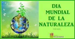 Dia de la fotografia de la naturaleza. 3 De Marzo Dia Mundial De La Naturaleza Olacacia