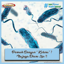 Kolera Penyakit Diare Orang Jenis Penyakit